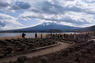 雷竞技的下载方式